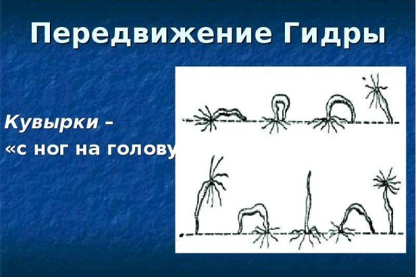Кракен зеркала официальные
