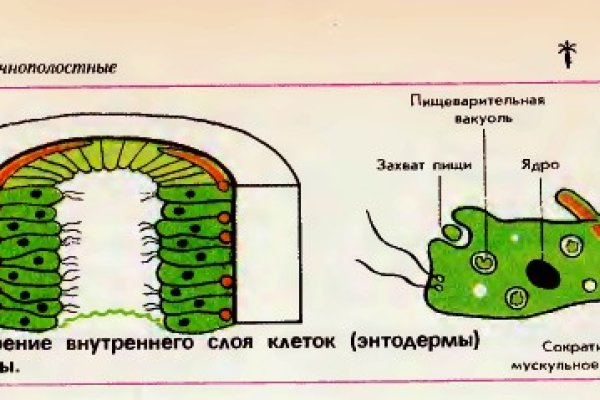 Правильная ссылка на кракен