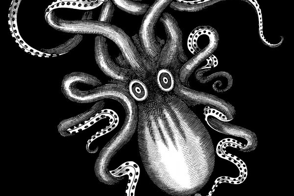 Kraken17 at сайт