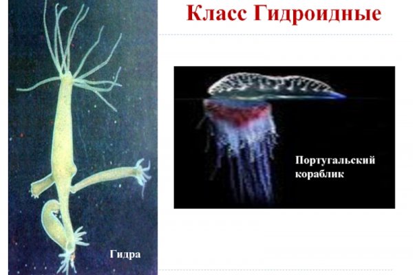 Ссылка кракен зеркало тор