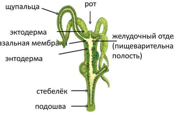 Официальный сайт даркнета