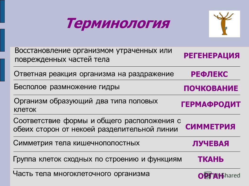 Кракен нарк